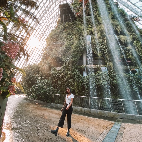 Posh Ambassador ♥️ Meet Your Seller - Picture 8 of 9